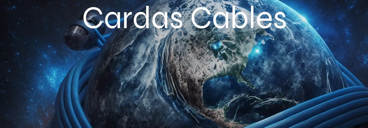 Cardas_cable_6